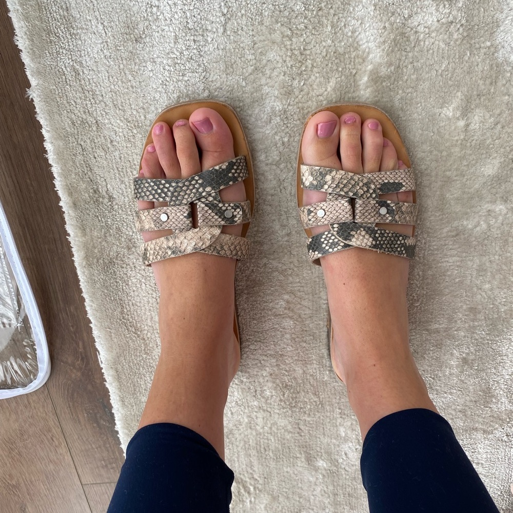 Dolce Vita snake print summer sandal